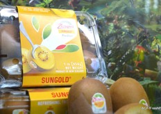 Zespri – https://www.zespri.com/ 